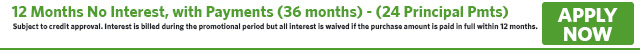 4123 - 12 Months No Interest, with Payments (36 months) - (24 Principal Pmts)